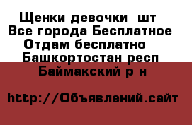 Щенки девочки 4шт - Все города Бесплатное » Отдам бесплатно   . Башкортостан респ.,Баймакский р-н